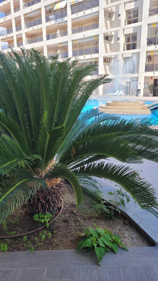 Platan Apartment Salou Exterior foto
